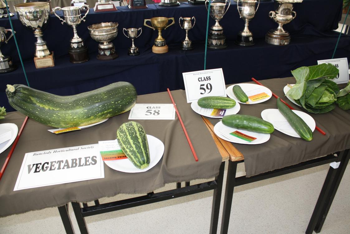 ../Images/64th Bunclody Horticultural Show 2015 - 48.jpg